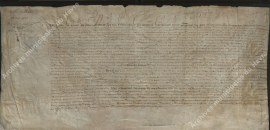 Confirmation des privilèges de franc-salé au Havre. (22 mai 1555